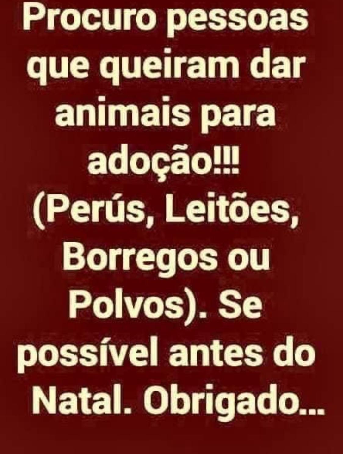 Animais para adoção